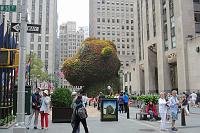  Jeff Koons' puppy sculpture