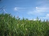 img_4060_r_10942