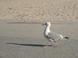 img_4162_r_28008