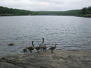 Harriman State Park Hike June 12, 2011