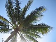 IMG_7070