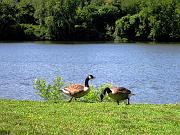 IMG_0532